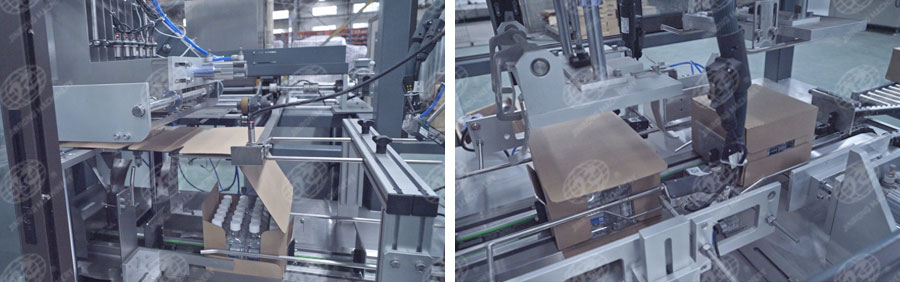 全自動一片式裝箱機-5 全自動一片式裝箱機-5